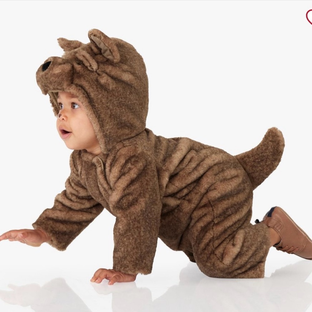 Wizard of Oz Toto the dog costume from Pottery Barn Kids for baby